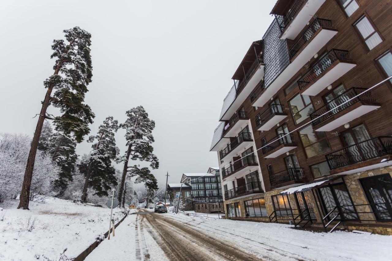 Apt 7 Mgzavrebi Bakuriani Exterior foto